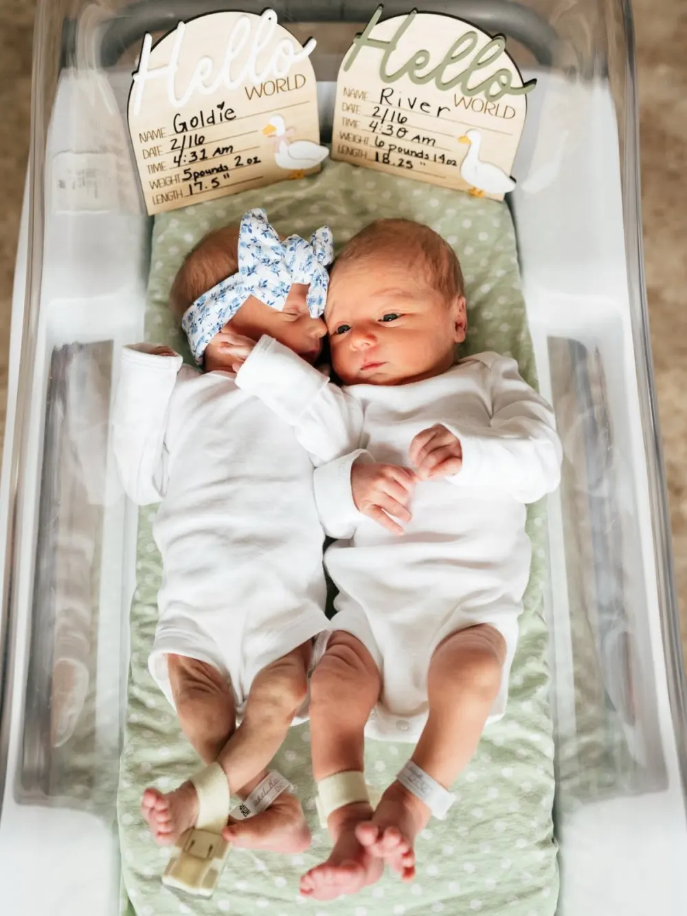 Big Brothers Nicole Franzel and Victor Arroyo Welcome Twins, Become Parents of 3