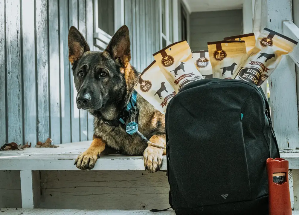 bully bunches natural dog chews