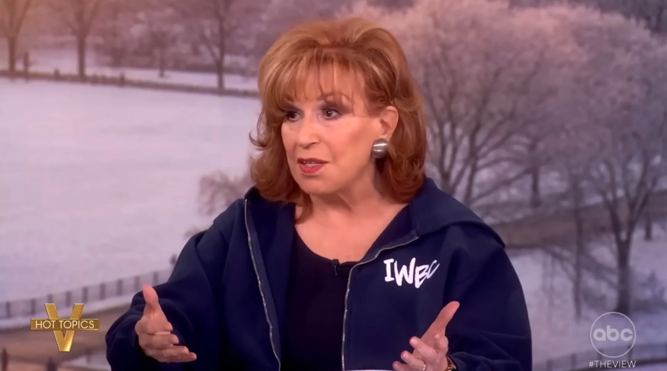 The Views Joy Behar Addresses Why Her Name Is in the Epstein Files Im Not Guilty