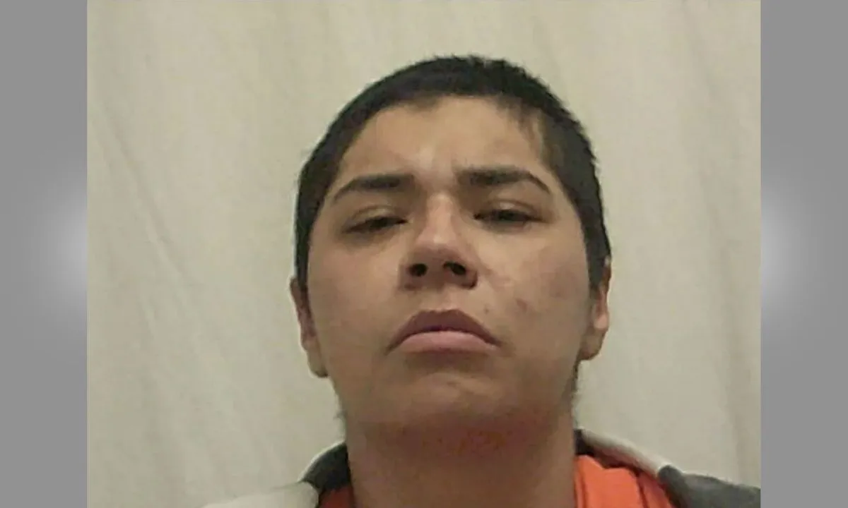 Mother Finds Adult Daughter Being Stabbed Nearly 20 Times By Woman in Her Bedroom