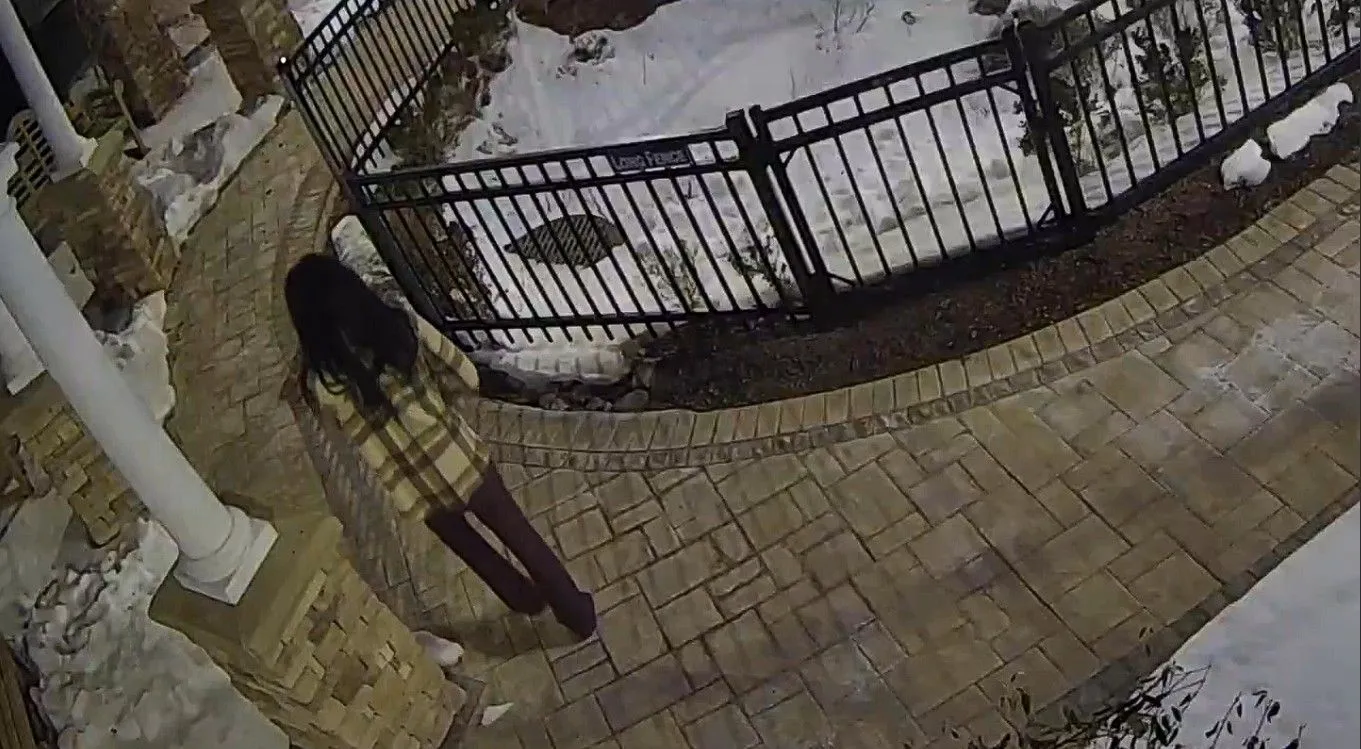 A screenshot from a surveillance video showing the suspect