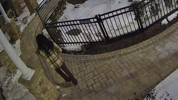 A screenshot from a surveillance video showing the suspect