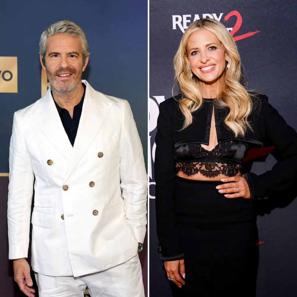 Andy Cohen Reacts to Sarah Michelle Gellar Saying 'RHOBH' Is 'Boring'