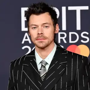 Are Harry Styles Carlas Song and American Girls About Real Women He Breaks Them Down