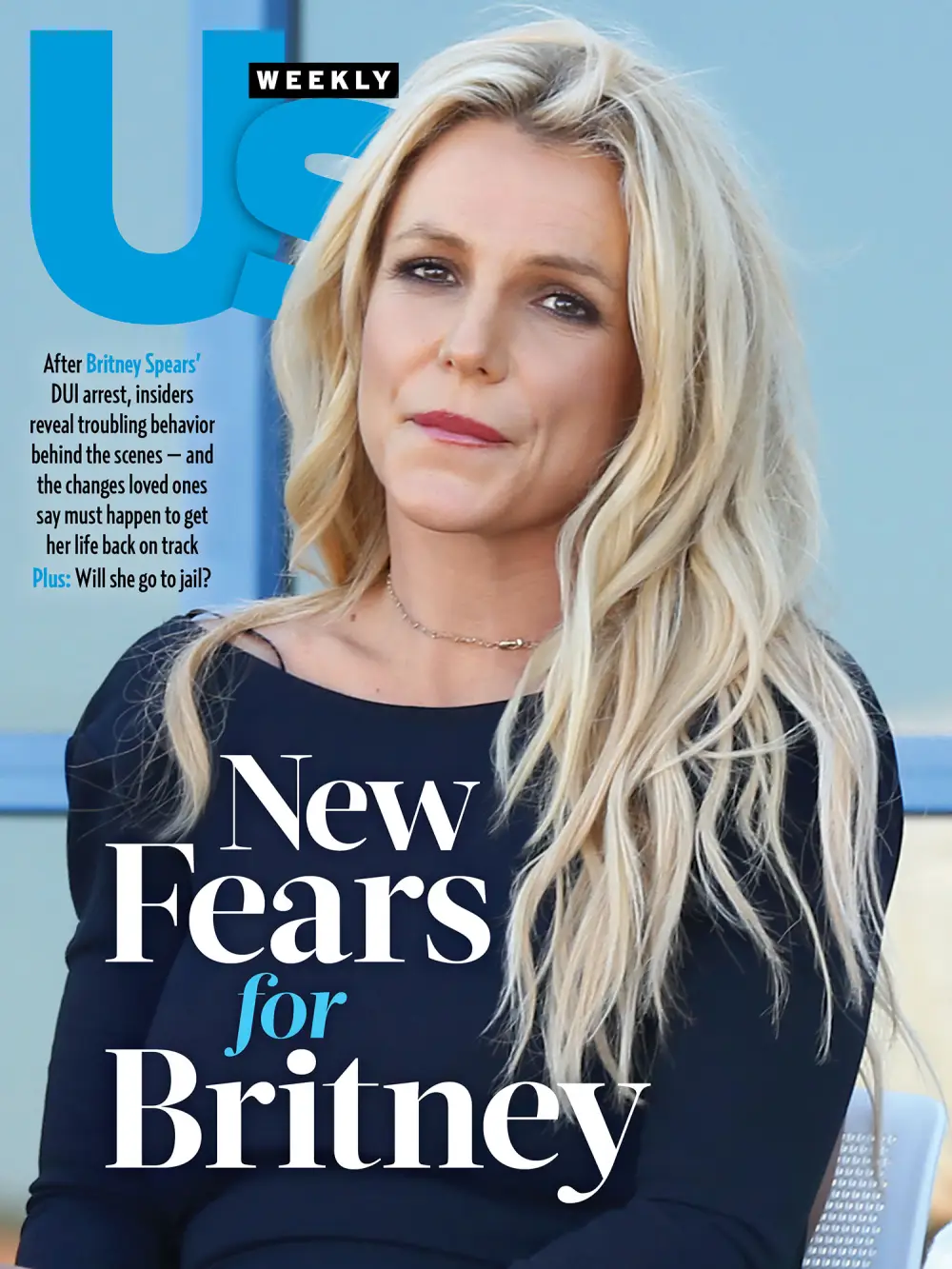 Britney Spears 2613 Luxury Handbag Shopping Cover No Chip