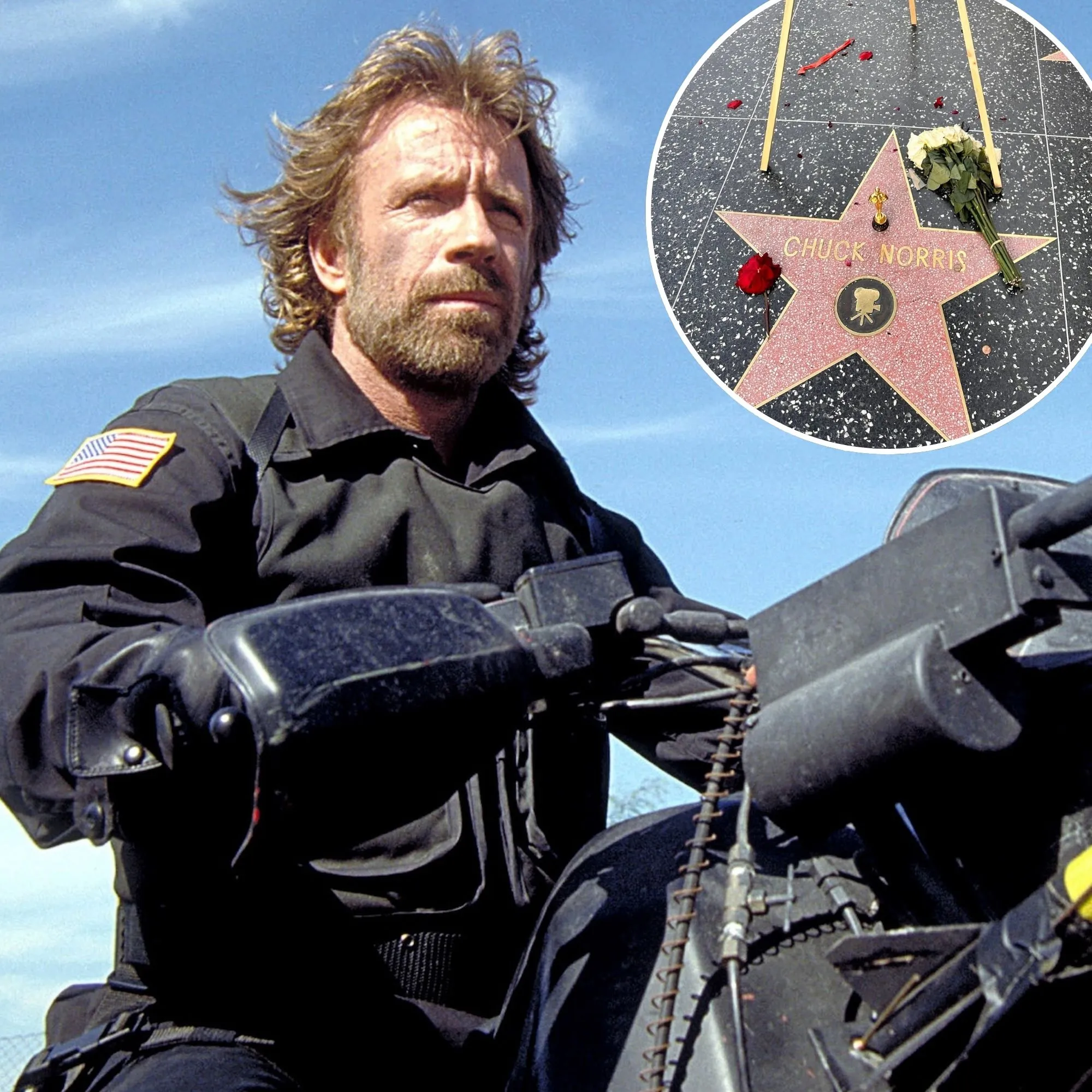 Chuck Norris Fans Pay Tribute at His Walk of Fame Star