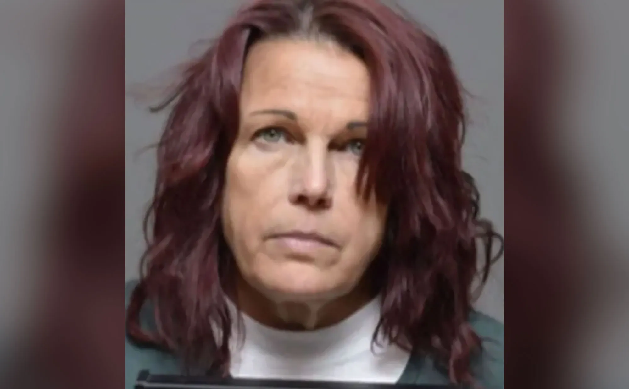 Denise Merker Mugshot Suffolk County Police Department