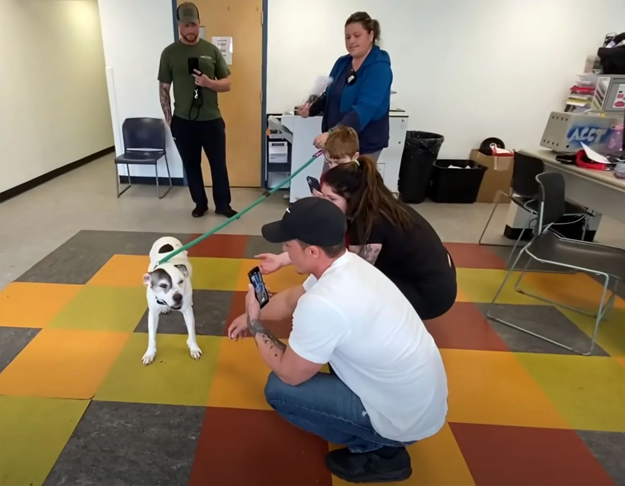 Dog Reunited With Family 11 Years After Being Stolen from Backyard