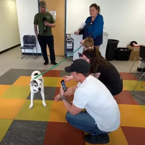 Dog Reunited With Family 11 Years After Being Stolen from Backyard