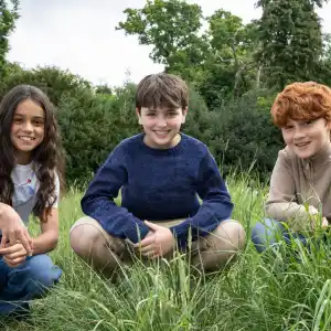 Everything to Know About New Harry Potter TV Show Trio