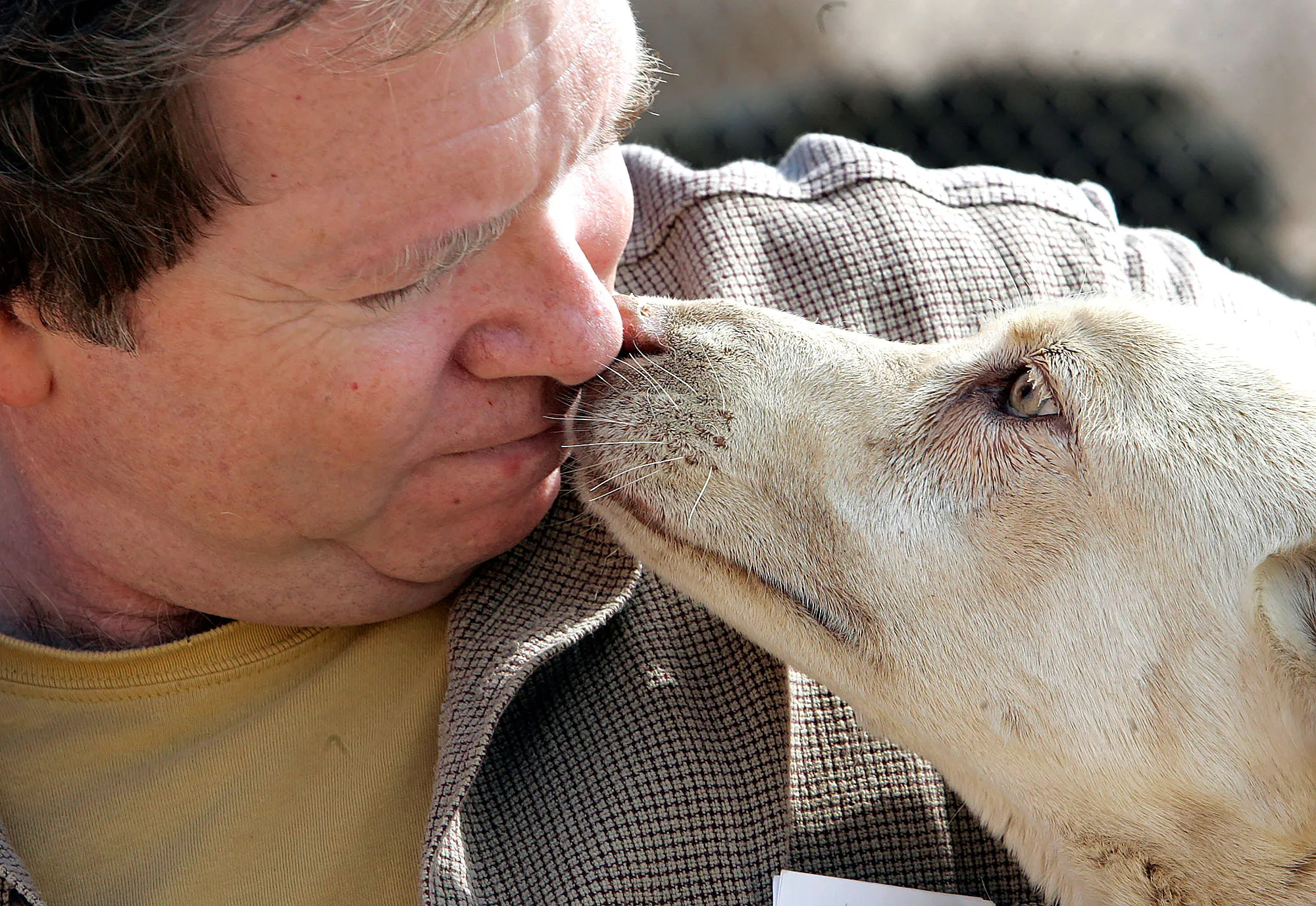 Former Actor and Founder of Animal Sanctuary Arrested on Attempted Kidnapping Charge Leo Grillo