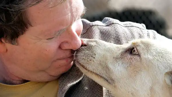 Former Actor and Founder of Animal Sanctuary Arrested on Attempted Kidnapping Charge Leo Grillo