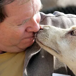 Former Actor and Founder of Animal Sanctuary Arrested on Attempted Kidnapping Charge Leo Grillo