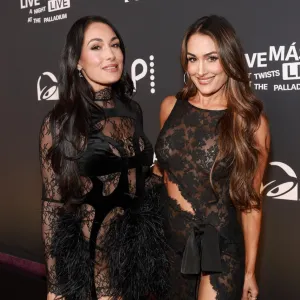 Nikki and Brie Bella 'Dream' About Winning WWE Tag Team Championships