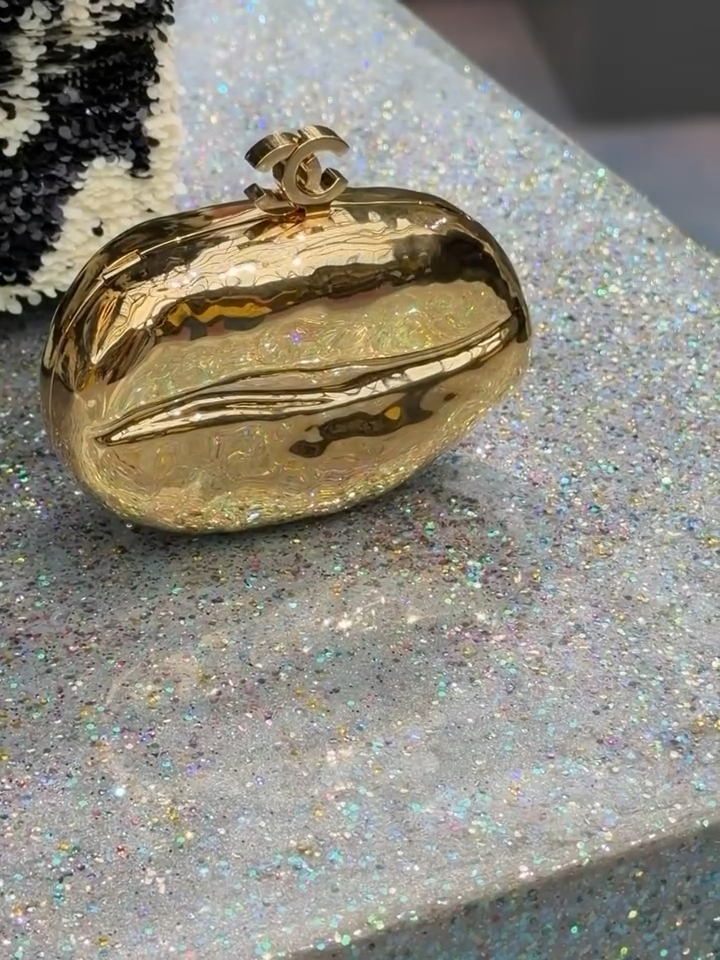 chanel fall winter 2026 bags