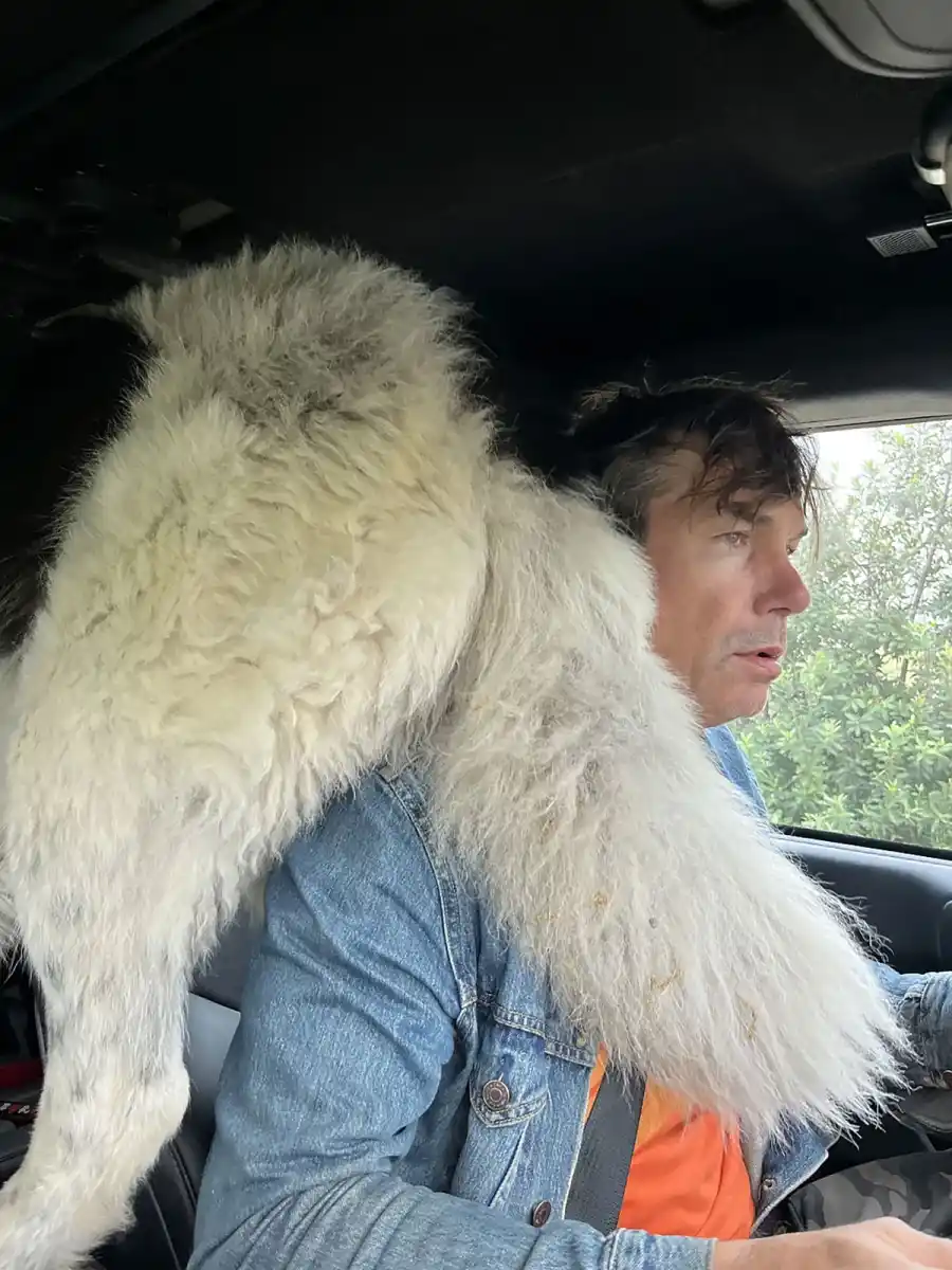 Jerry OConnell Their Dogs Dont Know the Meaning of Personal Space Just Like Us