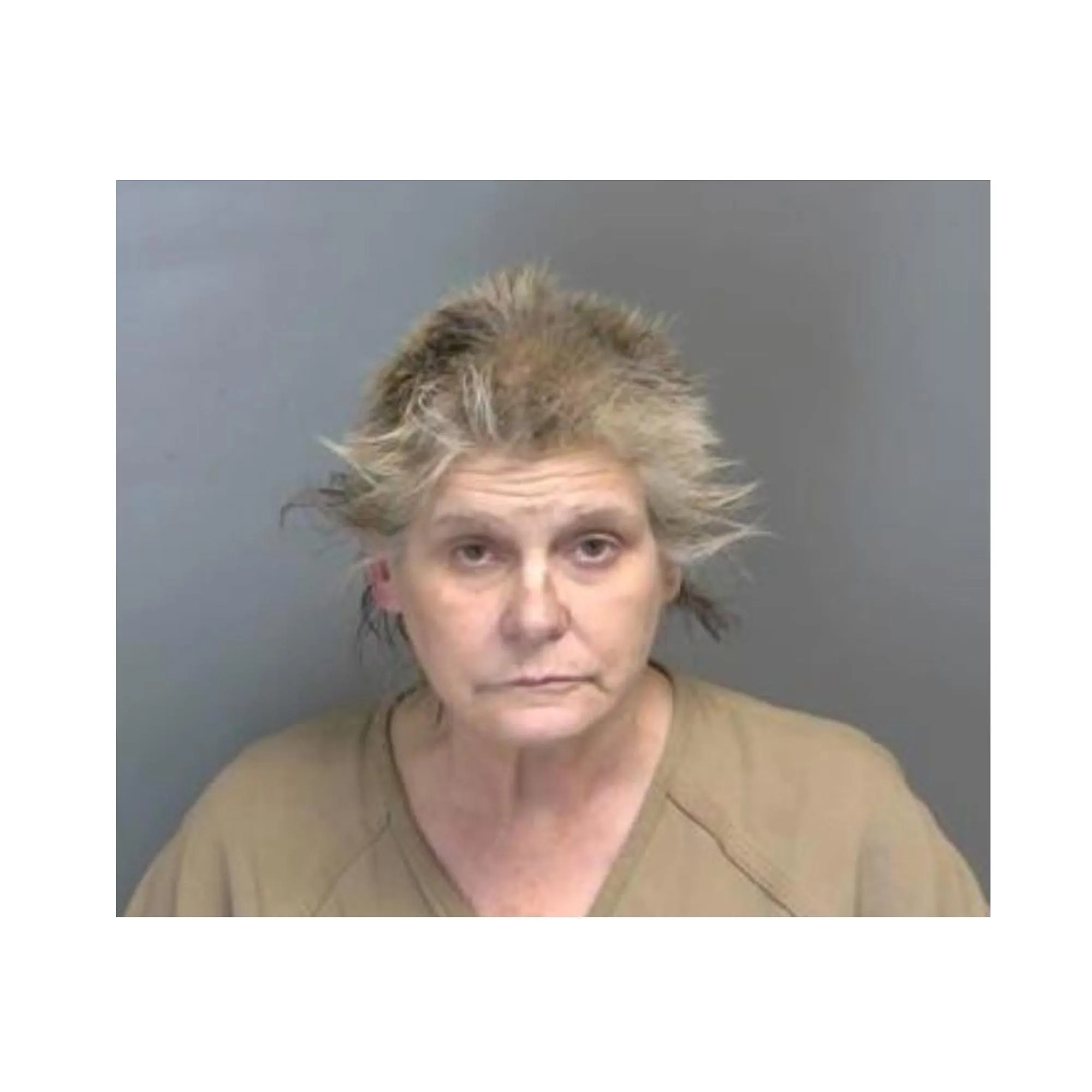 Judge Orders Removal of Dogs Turtles From Alleged Drug Dealer