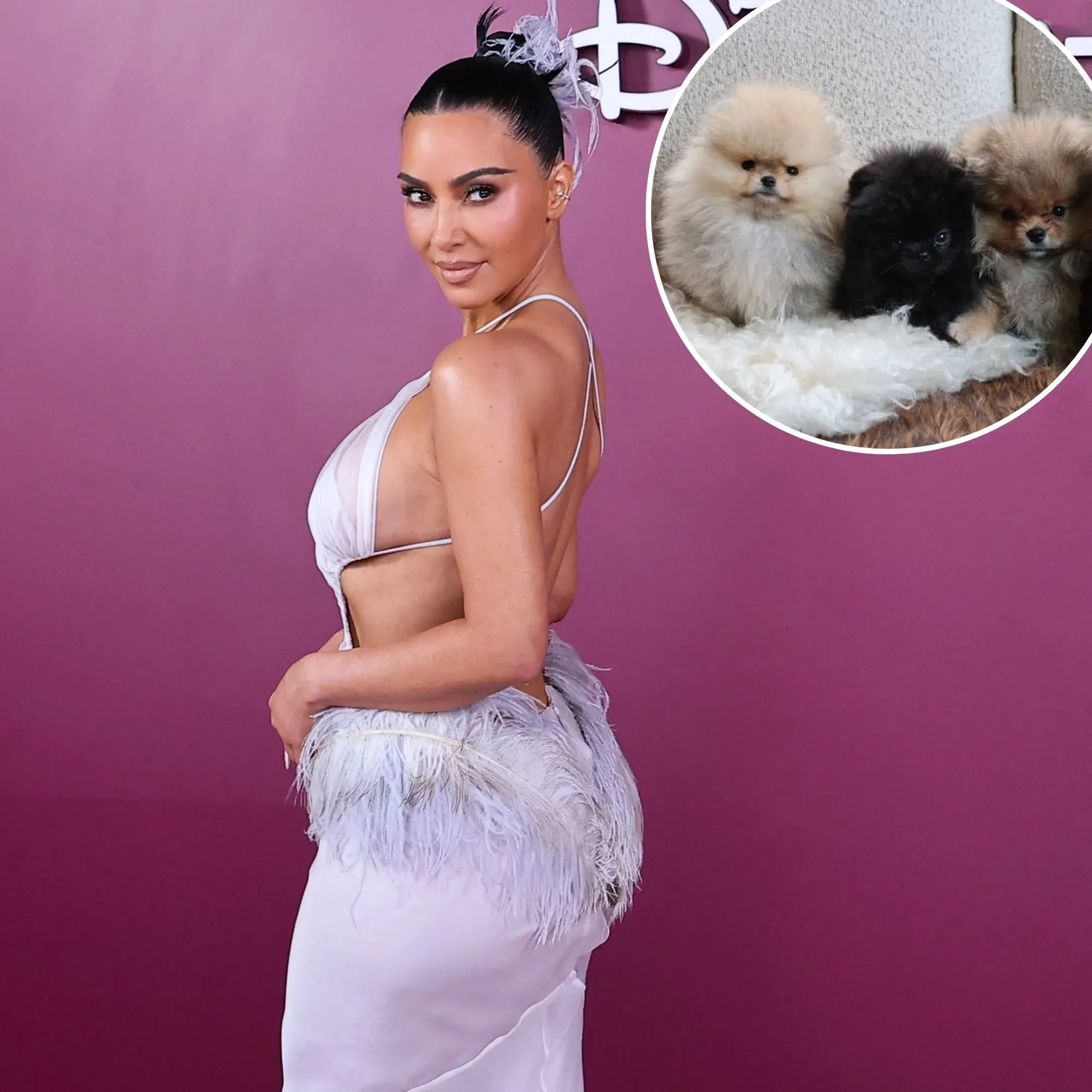 Kim Kardashian Shares Her 4 Puppies Despite PETA Backlash