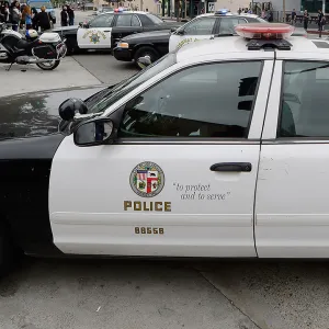 Los Angeles Police Department Kidnapping Attempt Foiled in Los Angeles After Girls Jump From Moving Car
