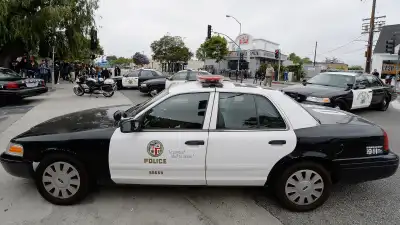 Los Angeles Police Department Kidnapping Attempt Foiled in Los Angeles After Girls Jump From Moving Car