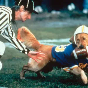 MSDAIBU_MX001-Kevin-DiCicco-Creator-of-the-Beloved-Air-Bud-Franchise-Dies-at-Age-63-in-San-Diego