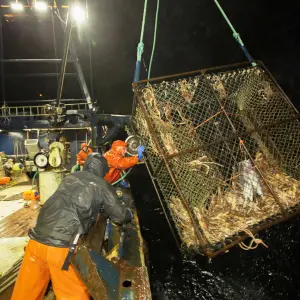 How Many People Have Died on Deadliest Catch? Cast Deaths