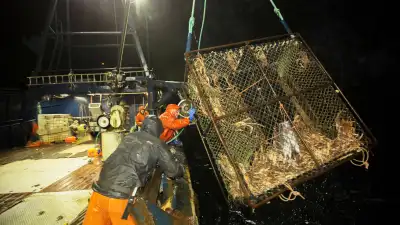 How Many People Have Died on Deadliest Catch? Cast Deaths