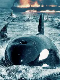 A pack of killer whales in The Swarm