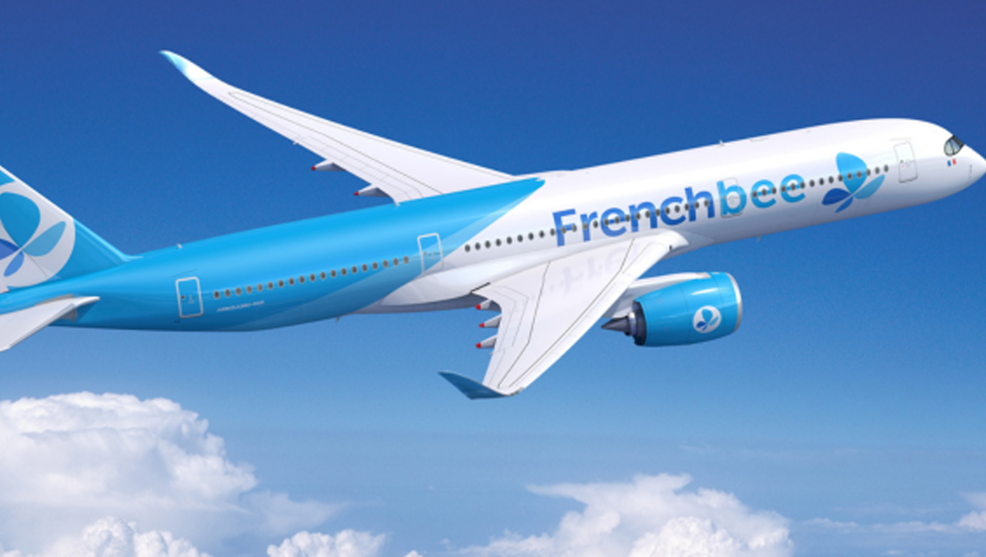 French bee airplane