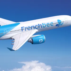 French bee airplane