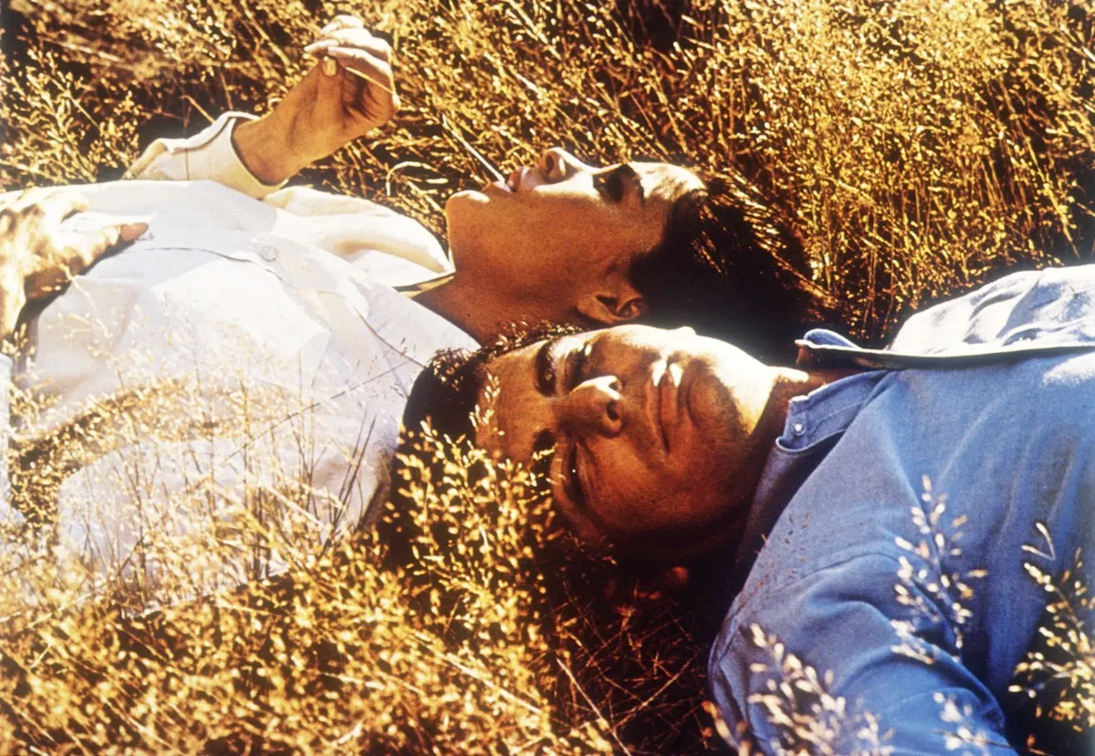 Richard Benjamin and Ali MacGraw in Goodbye, Columbus