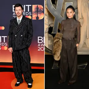 Harry Styles’ Mom Anne Twist Shows Subtle Support For Zoe Kravitz Amid Romance Rumors