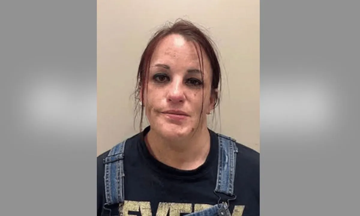 North Carolina Mom Arrested After Leaving 2 Kids in Hot Car While Shoplifting at Walmart