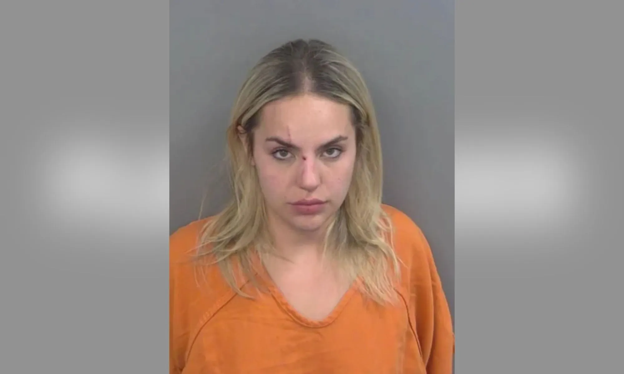 Police Let Inebriated Driver Go Hours Before Geologist, 96, Killed in Wrong-Way Crash