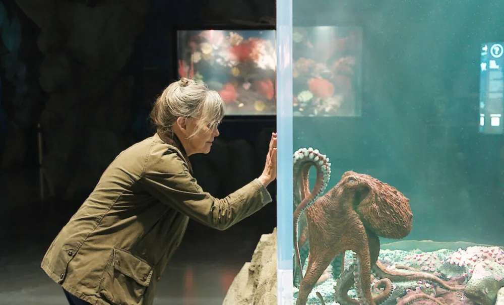 Sally Field and an octopus in Remarkably Bright Creatures