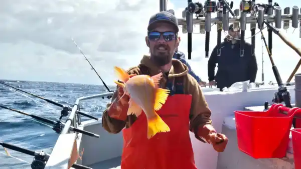 Deadliest Catch Star Todd Meadows Bunkmate Breaks Down Exactly How Freak Accident Unfolded