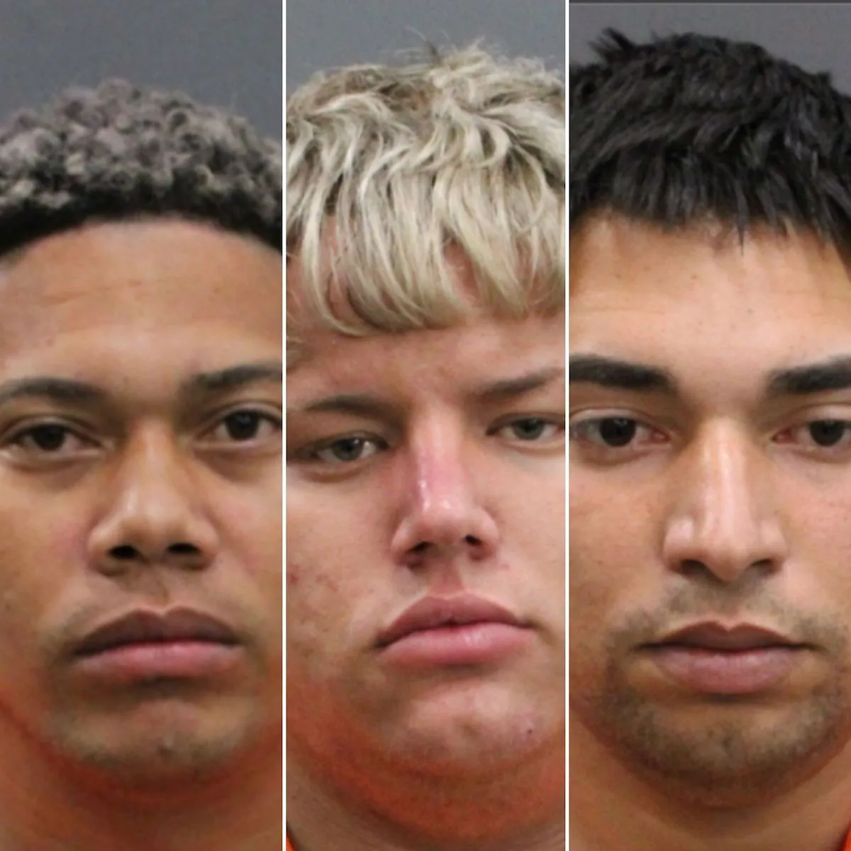 woman escape kidnapping florida 3 men arrested