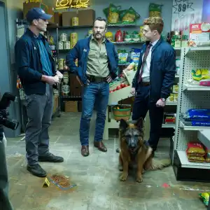 Did NCIS: Origins Kill Off Gary the Dog After Shocking Stabbing?