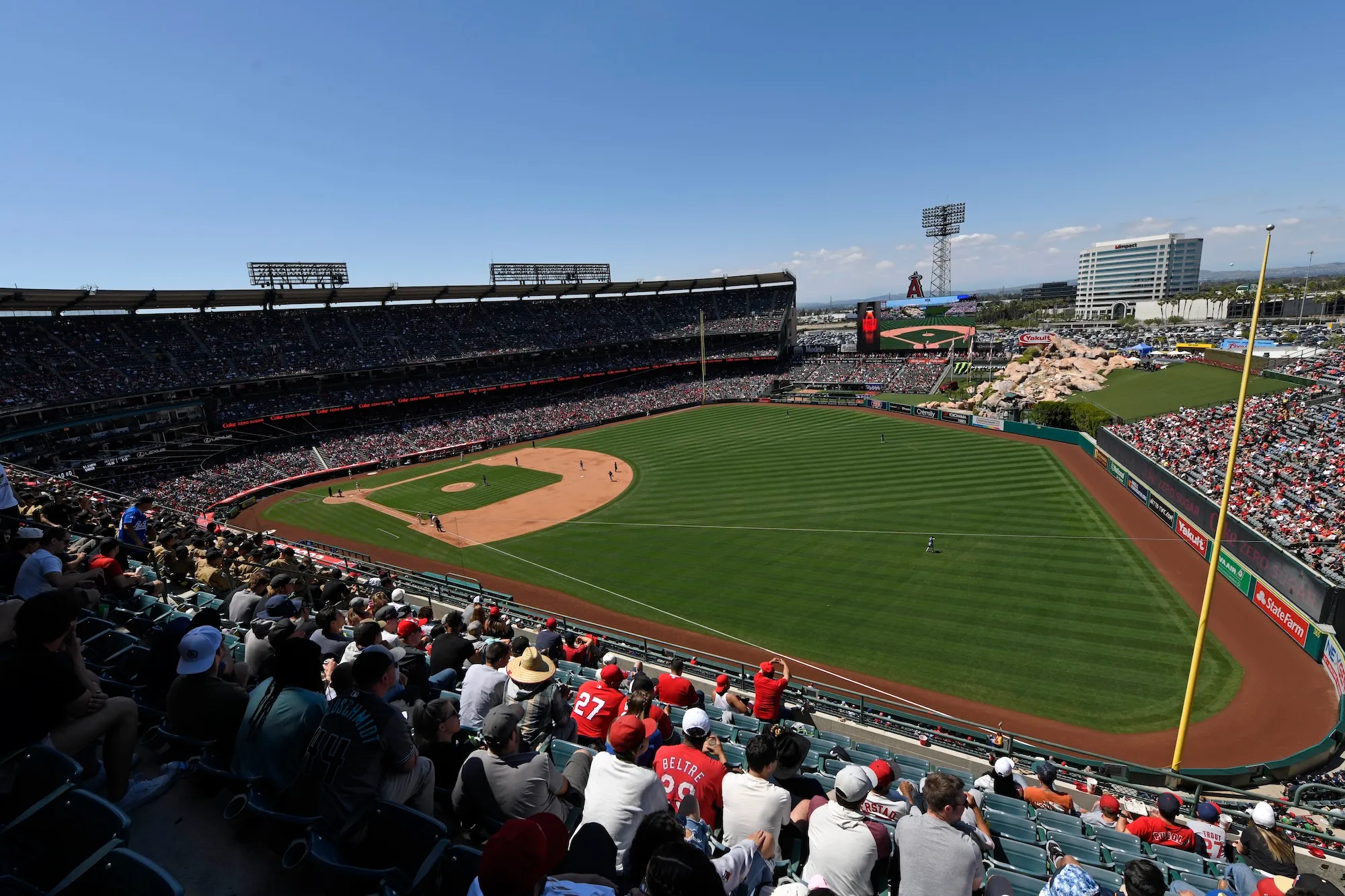GettyImages-1252998386 Dog Taps Person's Shoulder at Baseball Game to Ask for Food