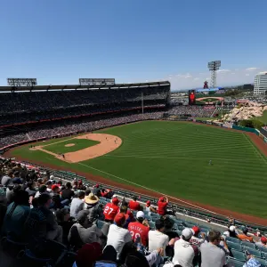 GettyImages-1252998386 Dog Taps Person's Shoulder at Baseball Game to Ask for Food