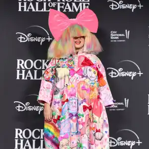 Sia Agrees to Pay Ex Dan Bernad $42K Per Month in Child Support: Inside Divorce Settlement