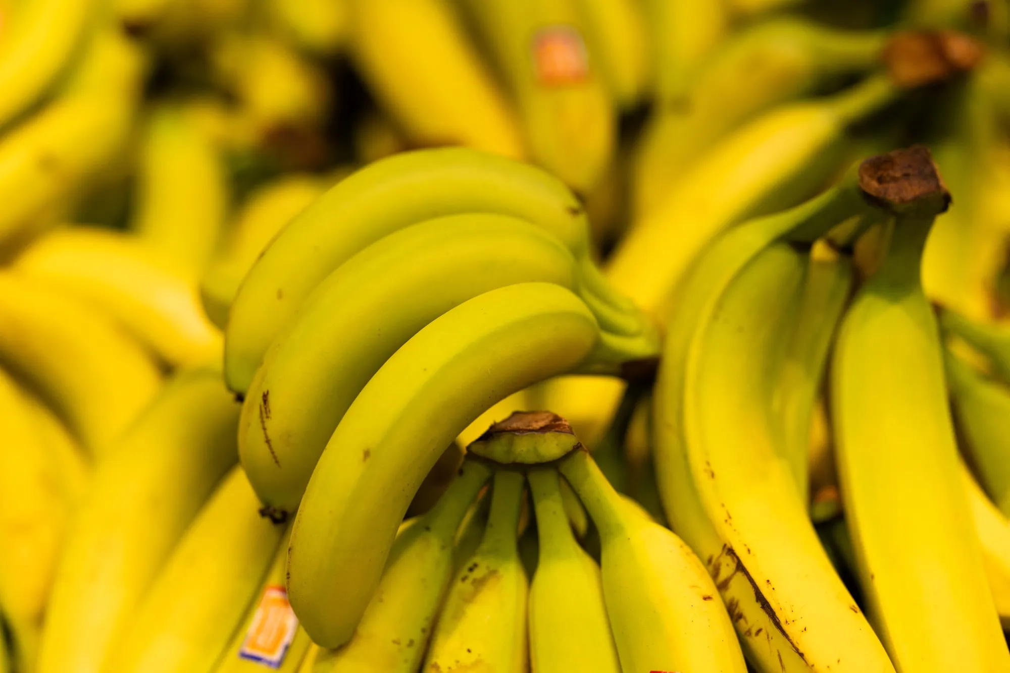GettyImages-2152806402 Scottish Tesco Store Accidentally Orders 38,000 Bananas