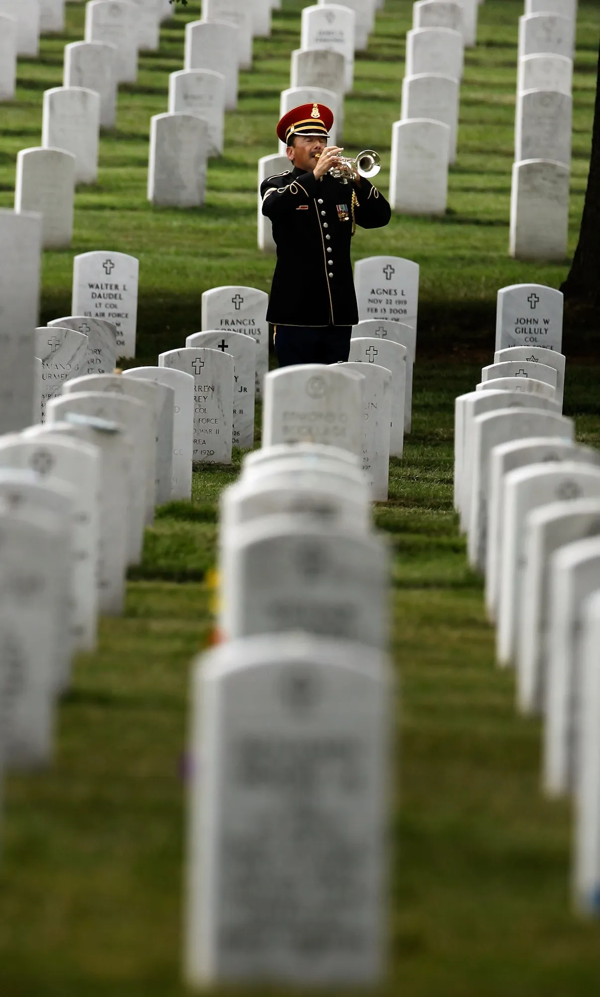 GettyImages-89600620 Emaciated Dogs Rescued From Cemetery, 1 Was Stuck in Pipe