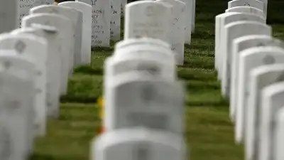 GettyImages-89600620 Emaciated Dogs Rescued From Cemetery, 1 Was Stuck in Pipe
