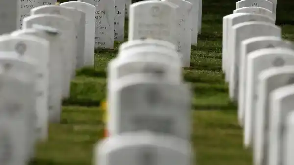 GettyImages-89600620 Emaciated Dogs Rescued From Cemetery, 1 Was Stuck in Pipe