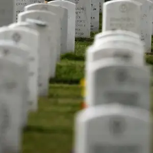 GettyImages-89600620 Emaciated Dogs Rescued From Cemetery, 1 Was Stuck in Pipe