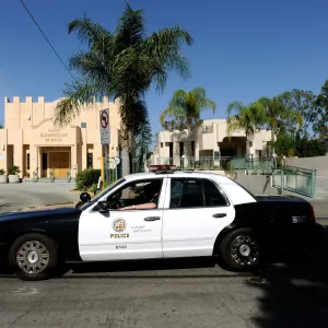 GettyImages-92491358-man-allegedly-killed-girlfriends-rabbit-in-fit-of-rage