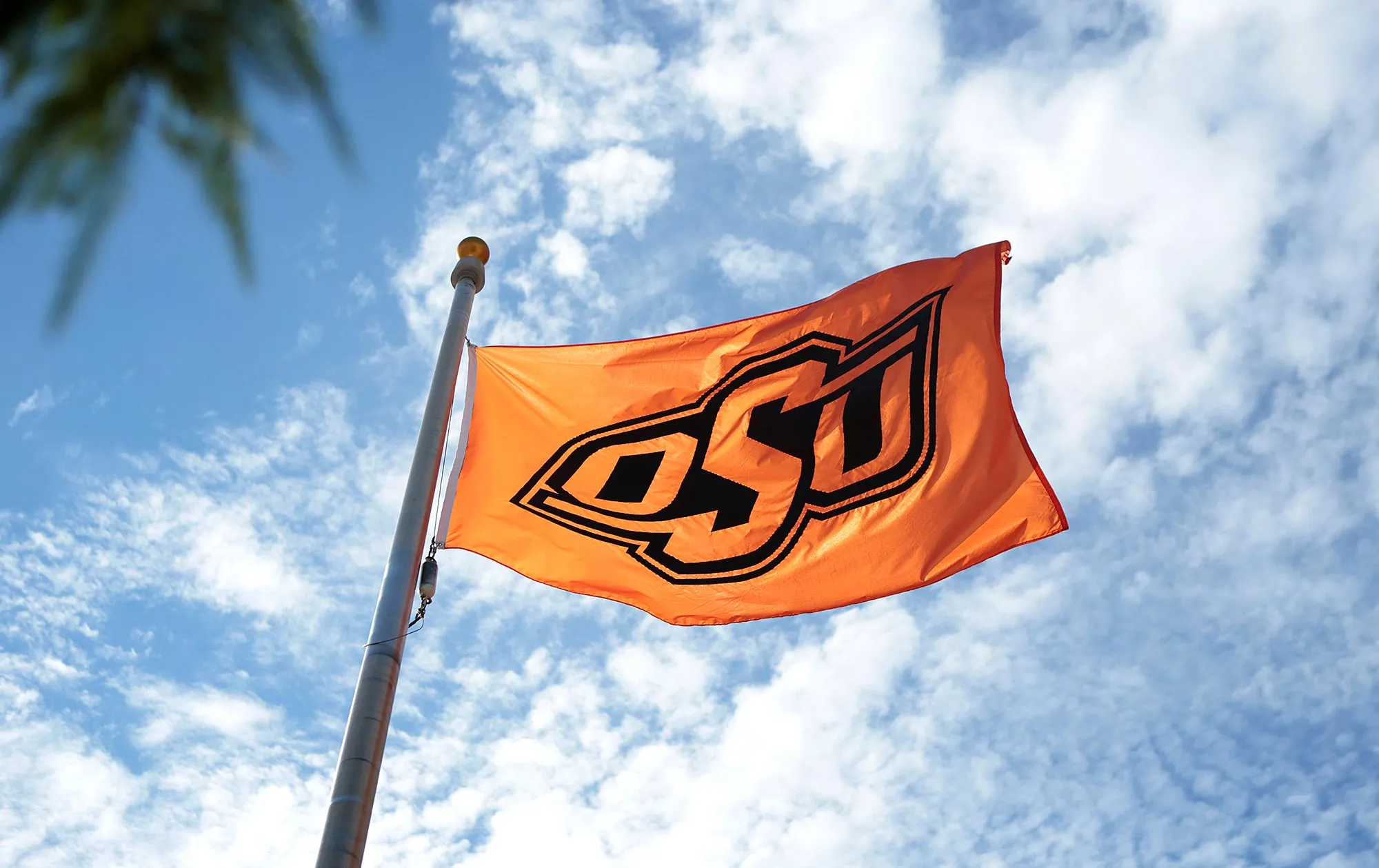 Oklahoma State Postpones Softball Game After Team Bus Was Involved in Fatal Accident