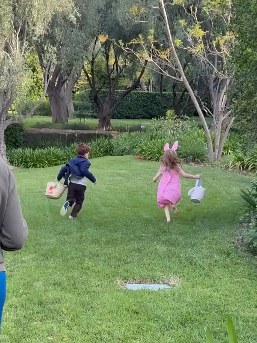 Prince Harry Disconnection With Fatherhood