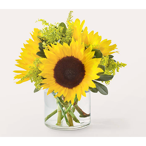 Proflowers Beaming Sunflower Bouquet